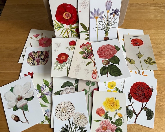 Set Of 20 Royal Horticultural Society Postcards Ideal For Craft Use.