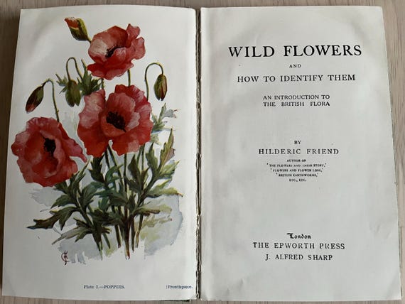 Wild Flowers And How To Identify Them, Quaint Vintage Book By Hilderic Friend.
