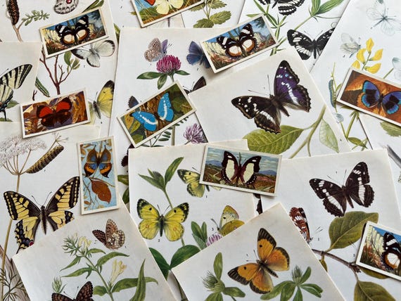 Butterfly Images & Vintage Cards Ideal for Craft Use.