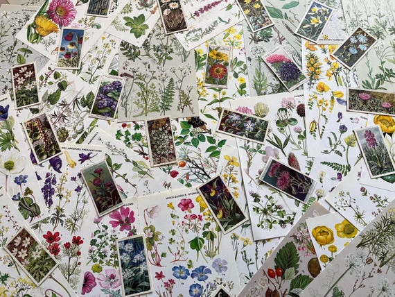 Wild Flowers Images & Vintage Cards Ideal for Craft use.