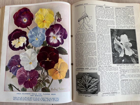 Large Vintage The Popular Encyclopedia Of Gardening Book By H.H. Thomas, 700 Pages Of Useful Illustrations 1930s Ideal For Craft Use 2kg.