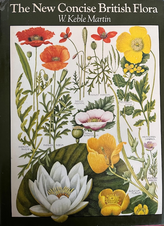 The New Concise British Flora By W Keble Martin, 100s Of Full Colour Fliwer Illustrations.