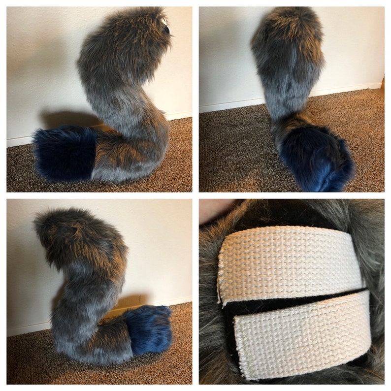 Large Tail!