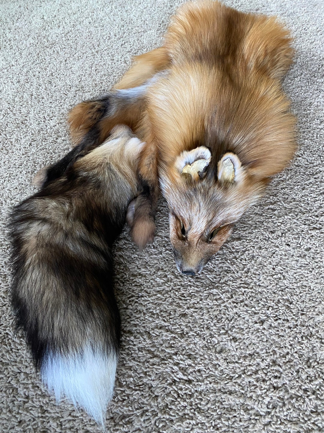 SUPER SELECT Jumbo Ranch Red Fox Tanned Fur Great Leather Soft Fluffy ...