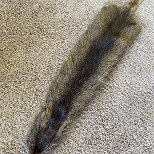 Nutria Pelt w/ tail Fur hide tanned super soft Man cave Art Log Cabin Decor Craft leather