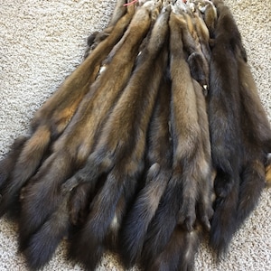 MARTEN Pelts Tanned to perfection Log Cabin Decor Man Cave Art Leather