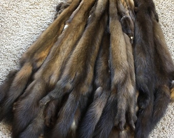 MARTEN Pelts Tanned to perfection Log Cabin Decor Man Cave Art Leather