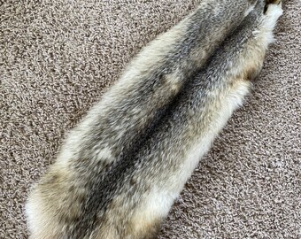 Tanned Semi-Hvy Badger Hide/Fur/Taxidermy/Free ship/Trapping/Pelts 