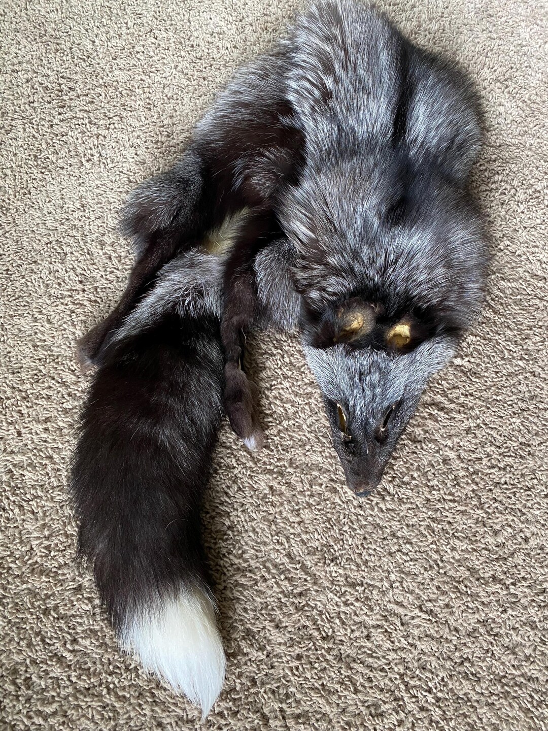 Red Fo Ruff Alaskan Wild Silver Phase RED Fox Wild Pelt Fur Natural Log Cabin Decor ...