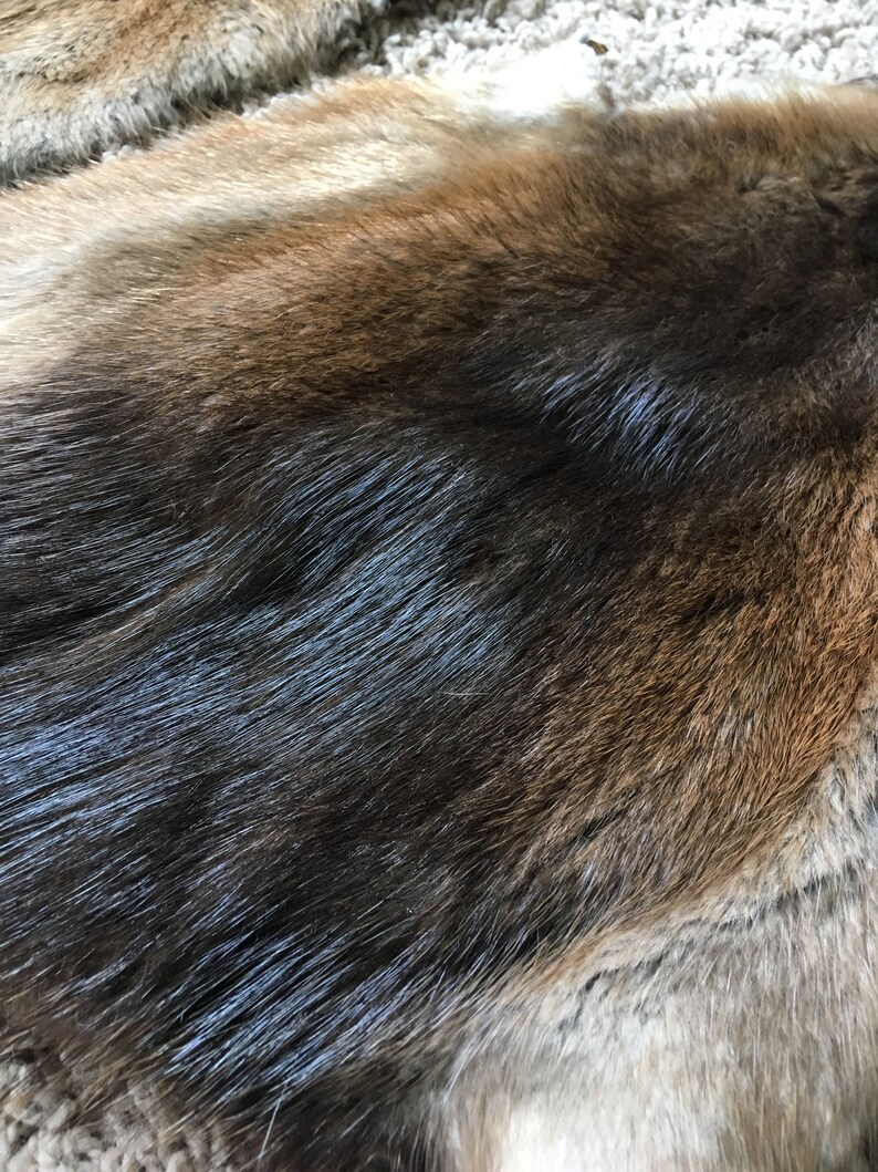 Large Muskrat Pelts 1's Excellent Quality Soft Stretchy Etsy