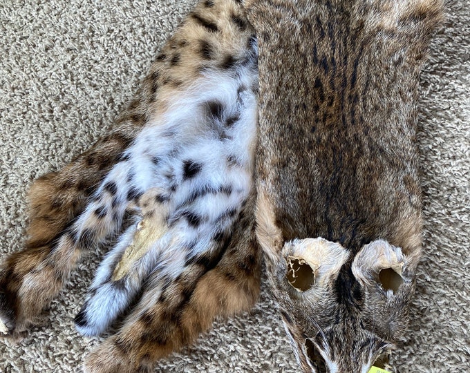 BOBCAT ULTRA SPOTTED Pelt Fresh Tanned Thick Heavy Pelt Fur Hide Log Cabin Wall Decor Soft