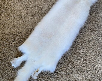 Fox Ruff SUPER SELECT Jumbo Ranch Red Fox Tanned Fur Great Leather Soft Fluffy ...