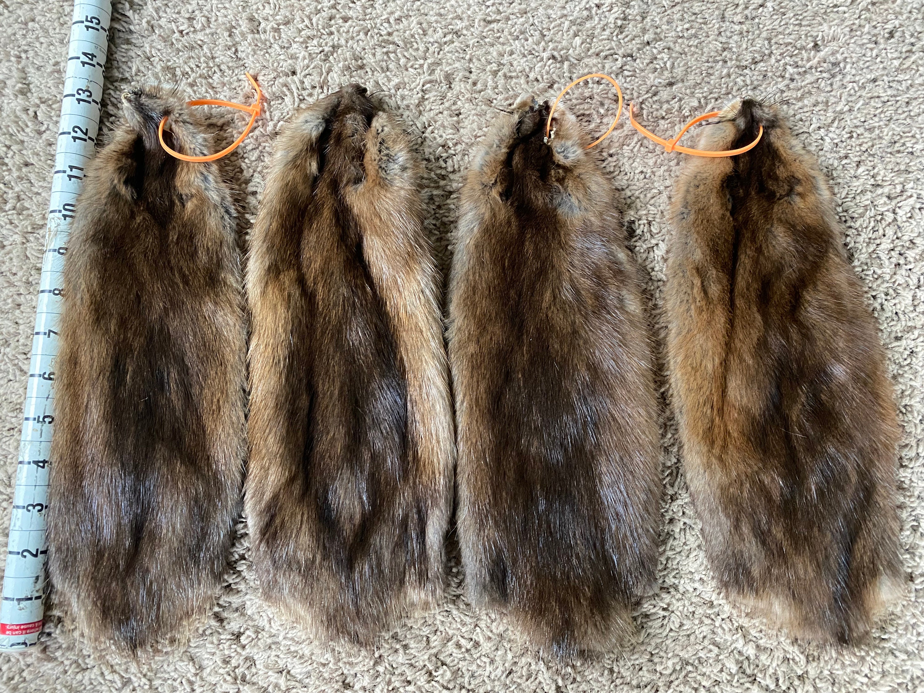 Large Muskrat Pelts Quality Soft Stretchy Leather Tanned Fur Log