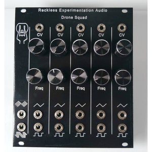 May include: Black synthesizer module with the text "Reckless Experimentation Audio Drone Squad" on the front. The module has five knobs labelled "CV" and five knobs labelled "Freq".