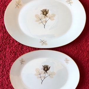 ROSENTHAL ドイツ FINE CHINA 磁器 シャドウローズ 3686 10個セット ヴィンテージ