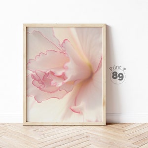 Pink Wall Art Flower Print Feminine Wall Art Girly Room Decor Pink Aesthetic Printable Art Pastel Pink Poster Wall Print Pink Flower Photo