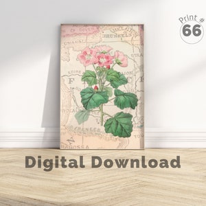 Vintage rosa botanische, botanische Wanddruck, Weinlese botanische, rosa Blumenwandkunst, über Bett-Wand-Kunst, rosa Blumen-Wand-Kunst