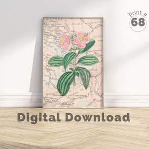 Vintage rosa botanische, botanische Wanddruck, Weinlese botanische, rosa Blumenwandkunst, über Bett-Wand-Kunst, rosa Blumen-Wand-Kunst