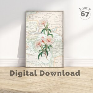 Vintage weiße botanische, botanische Wanddruck, Weinlese botanische, weiße Blumenwandkunst, über Bett-Wand-Kunst, rosa und weiße Blumenwandkunst
