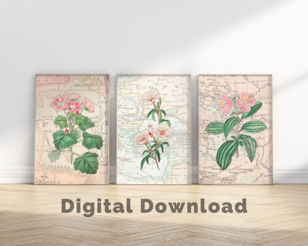 Vintage Pink Botanical, Set of 3 Botanical Wall Prints, Vintage ...