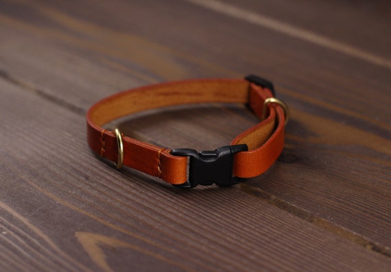 personalized breakaway collar