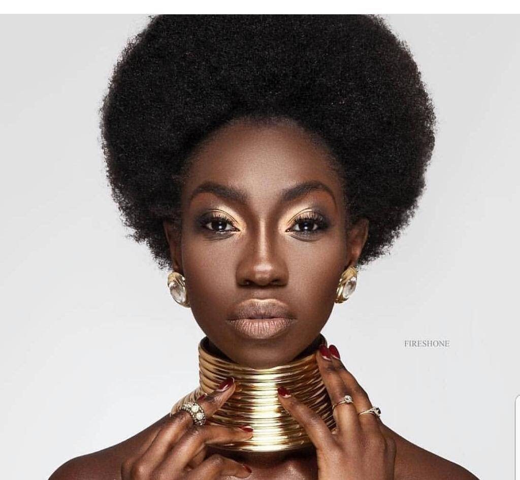 Ndebele Neck Ring / Choker idzila 