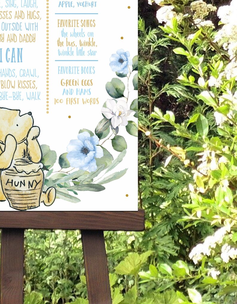 Winnie the Pooh 1st Birthday Milestone Poster | Custom Photo Prop ...