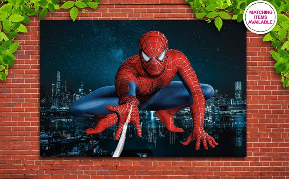 Spider man birthday theme / Spiderman backdrop / party supplies