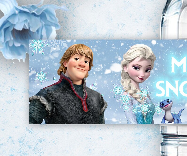 May include: A blue and white banner featuring a cartoon image of Elsa and Kristoff from the film Frozen. The banner has a blue background with white snowflakes and the text "Let It Snow".