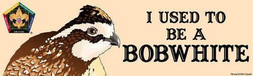 Wood Badge Bobwhite Tartan Bumper Sticker SP5052 Wood Badge Bobwhite Tartan Bumper Sticker SP5052