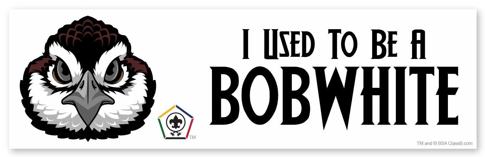 Wood Badge Bobwhite Tartan Bumper Sticker SP5052 Wood Badge Bobwhite Tartan Bumper Sticker SP5052