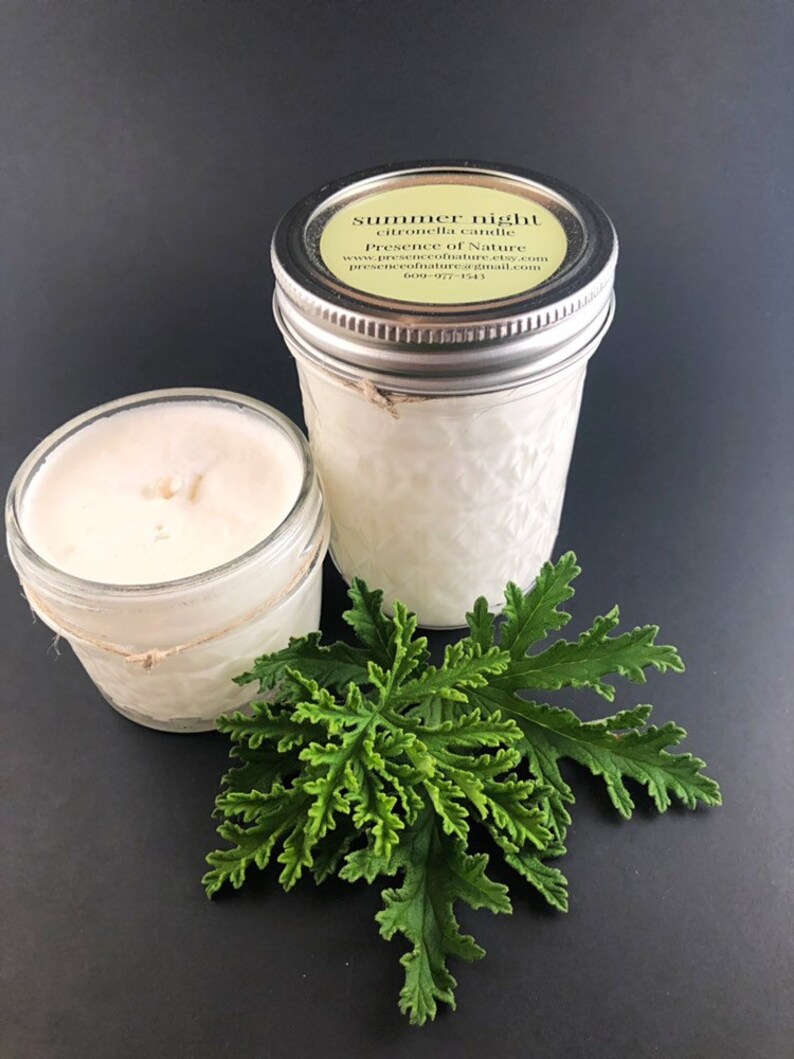 Citronella Candle Mosquito Repellent Camper Decor Etsy