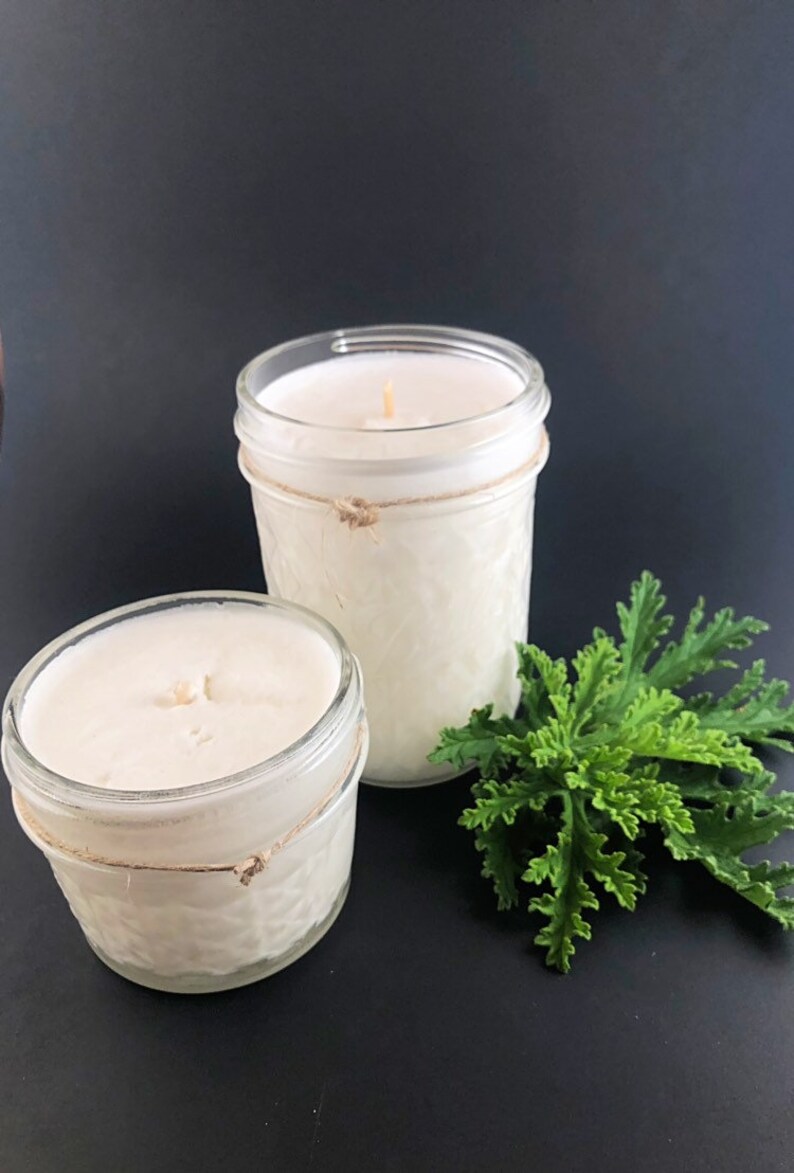 Citronella Candle Mosquito Repellent Camper Decor Etsy