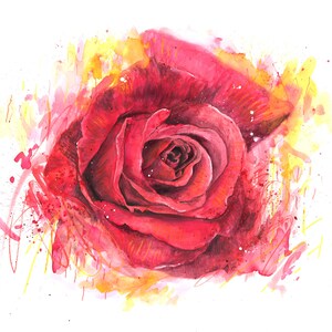 Watercolour Flower Painting - Rose Tulip Daffodil Lily Orchid Poppy - Original Artwork