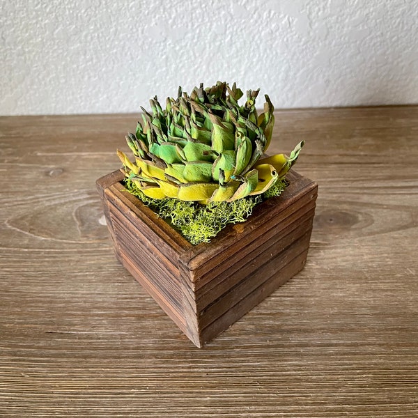 Mini Sola wood flower arrangement, faux succulent, centerpiece, wooden box, forever flowers