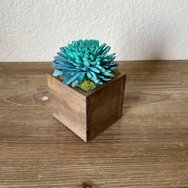 Mini Sola wood flower arrangement, faux succulent, centerpiece, wooden box, forever flowers