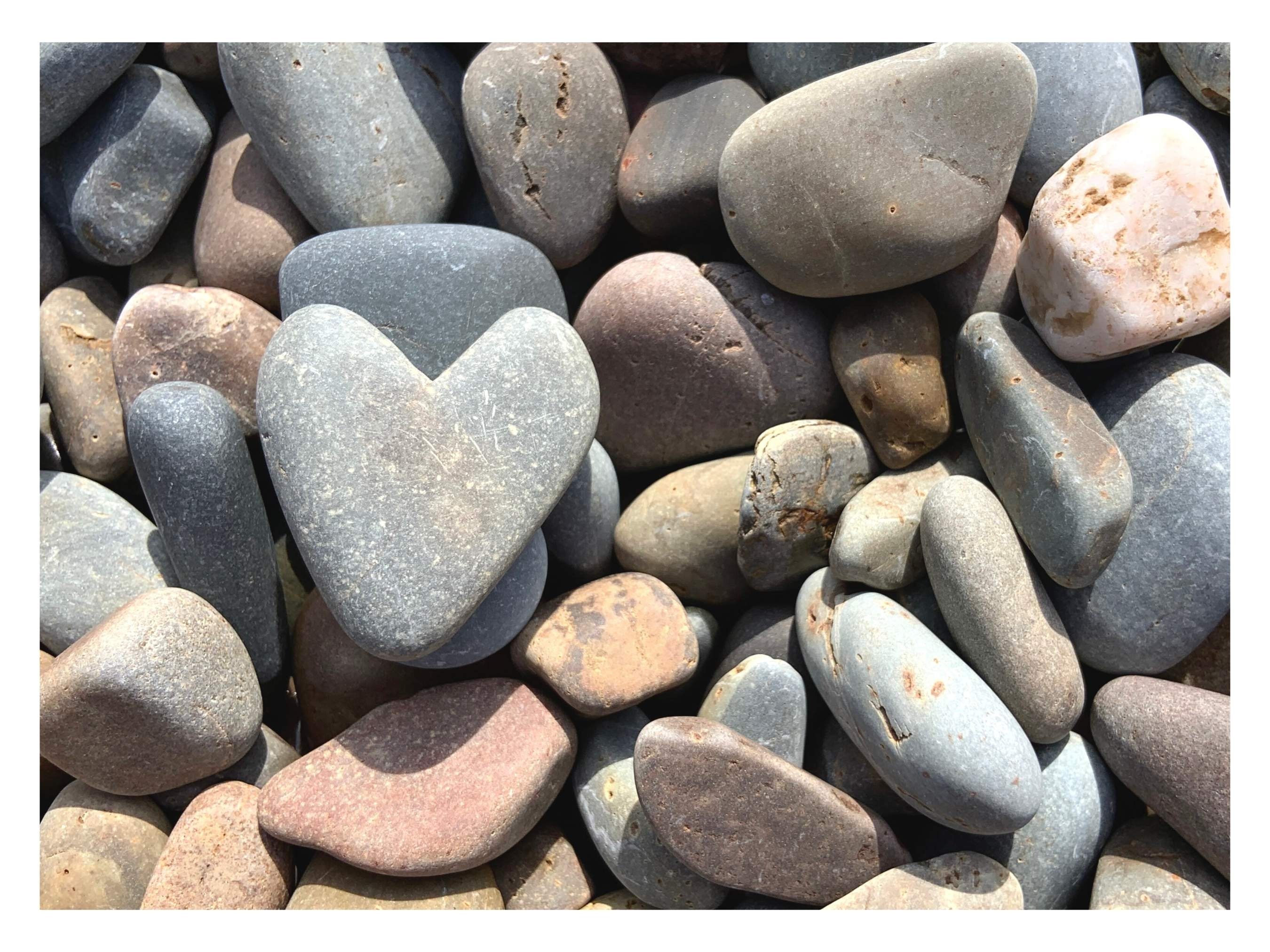 5x7 Card- Heart Rock Love in Nature - Pebble Art - Etsy