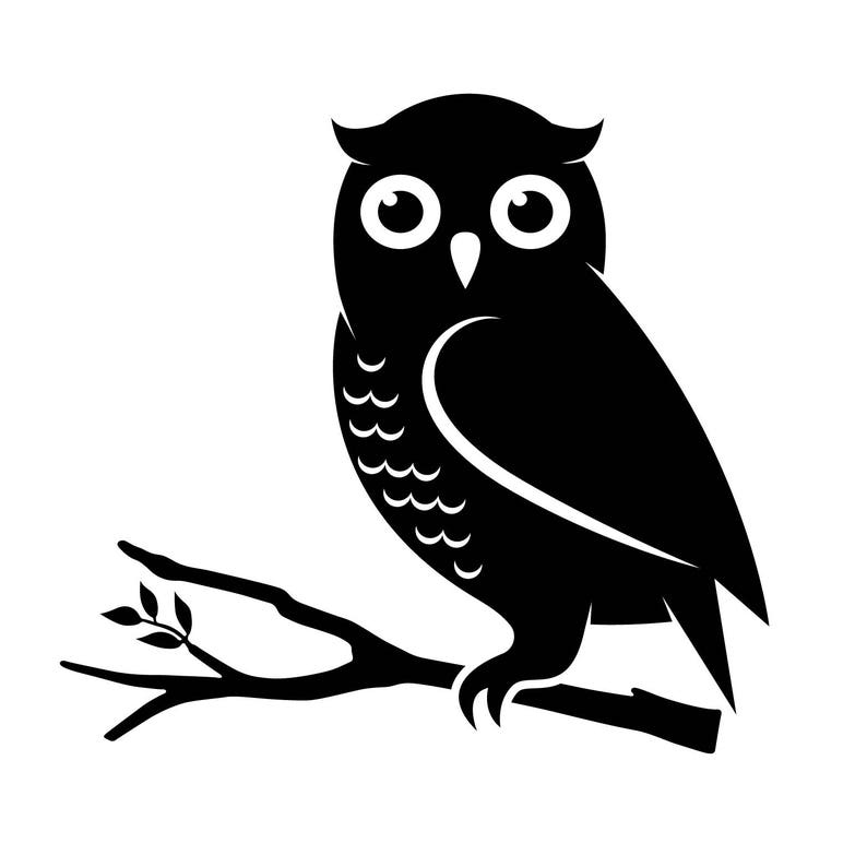 Owl Decal Etsy