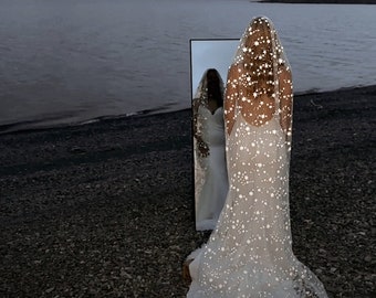 Ethereal Unique Dreamy Boho Celestial Wedding Veil with Glowing Stars. Unique Bridal Accessory for Romantic Elopement 2024