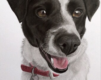 Personalised Pet Portrait