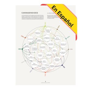 Cuadro de Matriz de Salud de Cannabinoides, Infografía Impresa Sobre Marihuana Medicinal, Educación Sobre Cannabinoides de Goldleaf