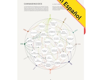 Cuadro de Matriz de Salud de Cannabinoides, Infografía Impresa Sobre Marihuana Medicinal, Educación Sobre Cannabinoides de Goldleaf