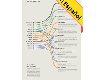 Cuadro Infográfico de Sabores del Cannabis: Terpenos Primarios, Arte Mural de Terpenos del Cannabis, Póster Educativo Moderno de Goldleaf