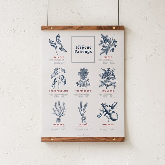 Wine Pairing Chart Food