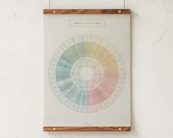 Diagrama de la rueda de sabores de terpenos, gráfico de aromas de terpenos, póster de terpenos de cannabis, póster educativo y decoración de dispensarios de Goldleaf.