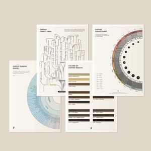 Coffee Reference Card Deck, 4 Dual-sided Charts About Coffee Science ...