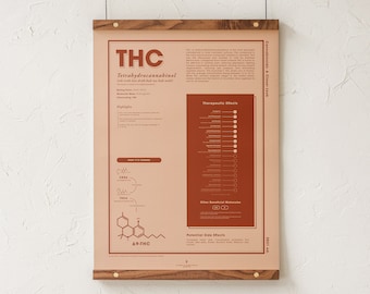 Impresión de THC: Una mirada más de cerca, infografía sobre cannabinoides, póster de cannabis medicinal, educación sobre tetrahidrocannabinol, arte de dispensario de Goldleaf