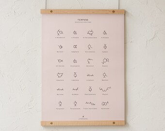 Tabla de estructuras moleculares de terpenos, arte mural sobre terpenos de cannabis, lámina de química, póster educativo sobre marihuana de Goldleaf