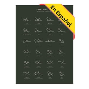 Gráfico de Estructuras Moleculares de Cannabinoides de Goldleaf, Póster  Sobre la Estructura Química de los Cannabinoides, Póster Educativo