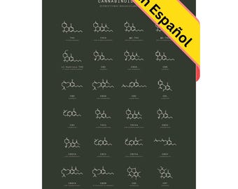 Gráfico de Estructuras Moleculares de Cannabinoides de Goldleaf, Póster  Sobre la Estructura Química de los Cannabinoides, Póster Educativo